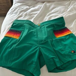 Aviator Nation Green Swim Trunks with Rainbow Stripes